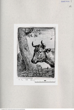 Vorderseite von  [http://creativecommons.org/publicdomain/mark/1.0/] ... - , bh285335. Foto.