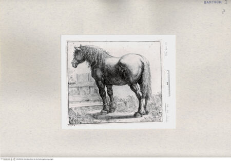 Vorderseite von bh285358