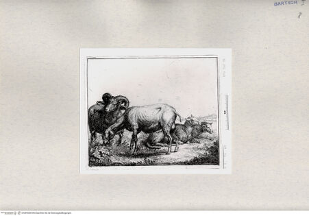 Vorderseite von  [http://creativecommons.org/publicdomain/mark/1.0/] ... - , bh285360. Foto.