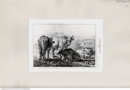 Vorderseite von  [http://creativecommons.org/publicdomain/mark/1.0/] ... - , bh285422. Foto.