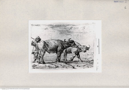 Vorderseite von  [http://creativecommons.org/publicdomain/mark/1.0/] ... - , bh285429. Foto.