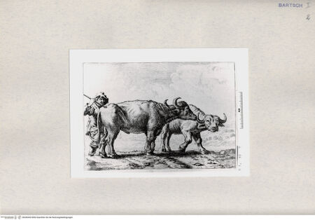 Vorderseite von  [http://creativecommons.org/publicdomain/mark/1.0/] ... - , bh285430. Foto.