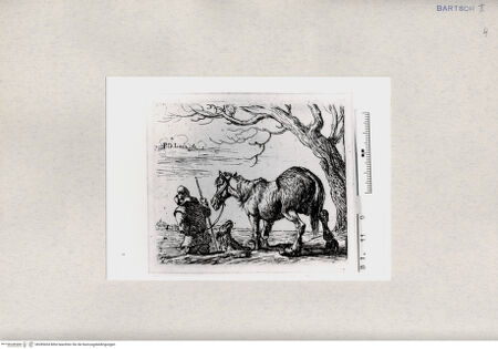 Vorderseite von  [http://creativecommons.org/publicdomain/mark/1.0/] ... - , bh285434. Foto.