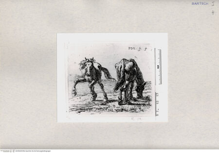 Vorderseite von  [http://creativecommons.org/publicdomain/mark/1.0/] ... - , bh285438. Foto.