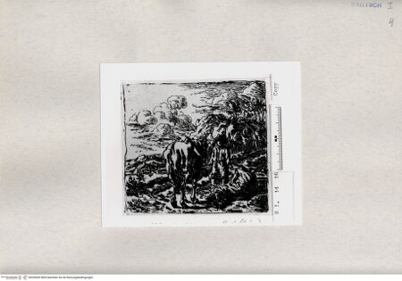 Vorderseite von  [http://creativecommons.org/publicdomain/mark/1.0/] ... - , bh285439. Foto.