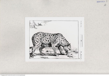 Vorderseite von  [http://creativecommons.org/publicdomain/mark/1.0/] ... - , bh285443. Foto.