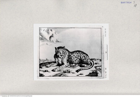 Vorderseite von  [http://creativecommons.org/publicdomain/mark/1.0/] ... - , bh285445. Foto.