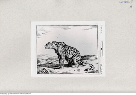 Vorderseite von  [http://creativecommons.org/publicdomain/mark/1.0/] ... - , bh285446. Foto.