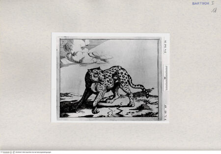 Vorderseite von  [http://creativecommons.org/publicdomain/mark/1.0/] ... - , bh285447. Foto.