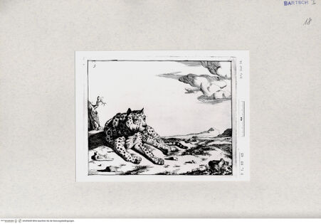 Vorderseite von  [http://creativecommons.org/publicdomain/mark/1.0/] ... - , bh285449. Foto.