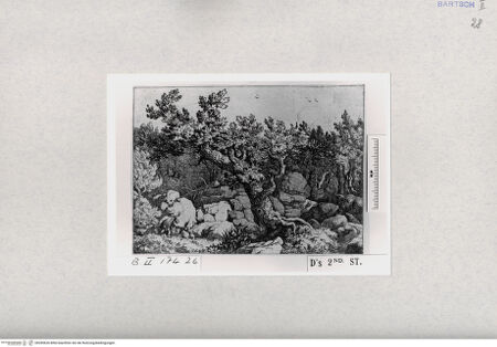 Vorderseite von  [http://creativecommons.org/publicdomain/mark/1.0/] ... - , bh285626. Foto.