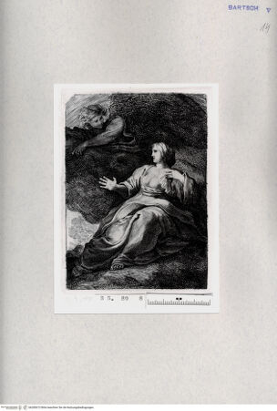 Vorderseite von  [http://creativecommons.org/publicdomain/mark/1.0/] ... - , bh285673. Foto.