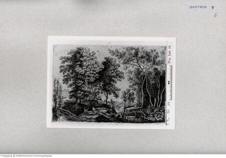 Vorderseite von  [http://creativecommons.org/publicdomain/mark/1.0/] ... - , bh285682. Foto.