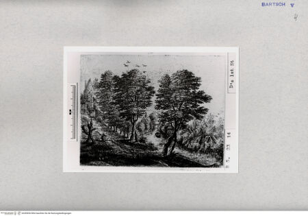 Vorderseite von  [http://creativecommons.org/publicdomain/mark/1.0/] ... - , bh285696. Foto.