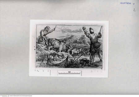 Vorderseite von  [http://creativecommons.org/publicdomain/mark/1.0/] ... - , bh285718. Foto.