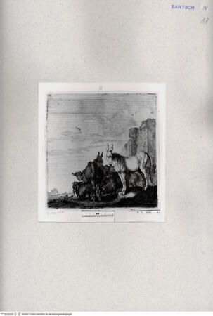 Vorderseite von  [http://creativecommons.org/publicdomain/mark/1.0/] ... - , bh285774. Foto.