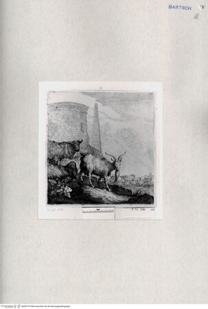 Vorderseite von  [http://creativecommons.org/publicdomain/mark/1.0/] ... - , bh285776. Foto.