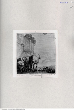 Vorderseite von  [http://creativecommons.org/publicdomain/mark/1.0/] ... - , bh285778. Foto.