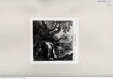 Vorderseite von  [http://creativecommons.org/publicdomain/mark/1.0/] ... - , bh285779. Foto.