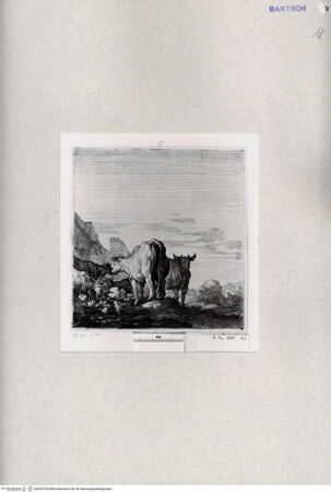 Vorderseite von  [http://creativecommons.org/publicdomain/mark/1.0/] ... - , bh285783. Foto.