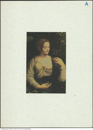 Vorderseite von bh286183_recto