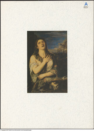 Vorderseite von bh286185_recto