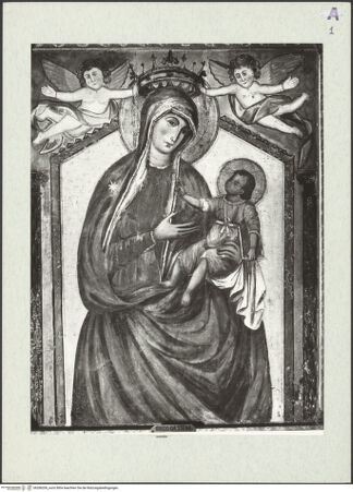 Vorderseite von bh286206_recto