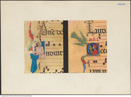 Vorderseite von bh286216_recto