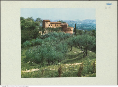 Vorderseite von bh286399_recto