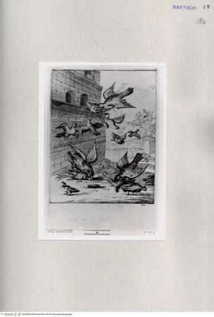 Vorderseite von  [http://creativecommons.org/publicdomain/mark/1.0/] ... - , bh286590. Foto.