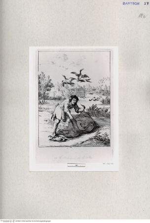 Vorderseite von  [http://creativecommons.org/publicdomain/mark/1.0/] ... - , bh286612. Foto.