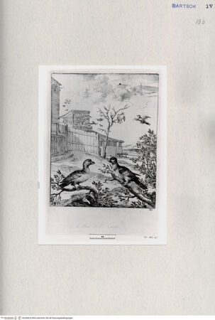 Vorderseite von  [http://creativecommons.org/publicdomain/mark/1.0/] ... - , bh286620. Foto.