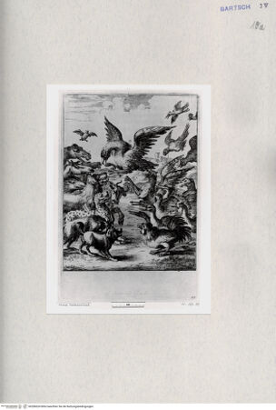 Vorderseite von  [http://creativecommons.org/publicdomain/mark/1.0/] ... - , bh286624. Foto.