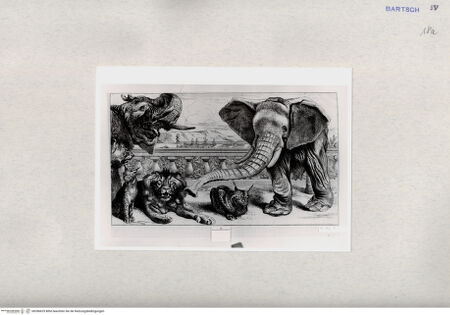 Vorderseite von  [http://creativecommons.org/publicdomain/mark/1.0/] ... - , bh286629. Foto.