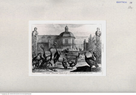 Vorderseite von  [http://creativecommons.org/publicdomain/mark/1.0/] ... - , bh286630. Foto.