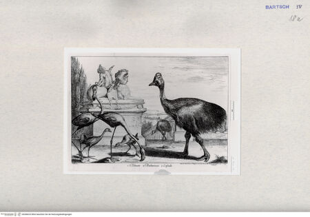 Vorderseite von  [http://creativecommons.org/publicdomain/mark/1.0/] ... - , bh286633. Foto.