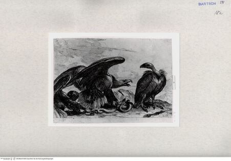 Vorderseite von  [http://creativecommons.org/publicdomain/mark/1.0/] ... - , bh286635. Foto.