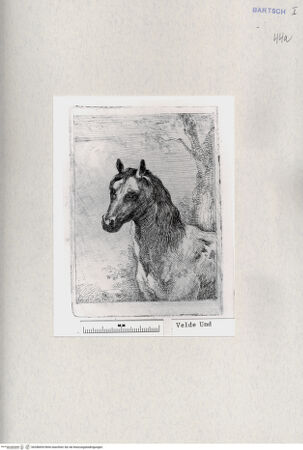 Vorderseite von  [http://creativecommons.org/publicdomain/mark/1.0/] ... - , bh286694. Foto.