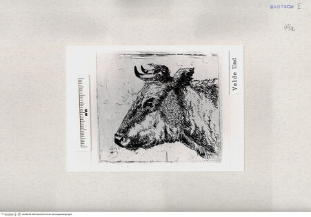 Vorderseite von  [http://creativecommons.org/publicdomain/mark/1.0/] ... - , bh286698. Foto.