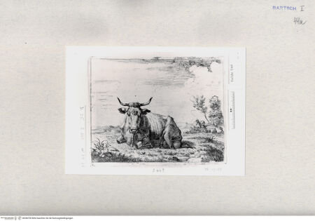 Vorderseite von  [http://creativecommons.org/publicdomain/mark/1.0/] ... - , bh286700. Foto.