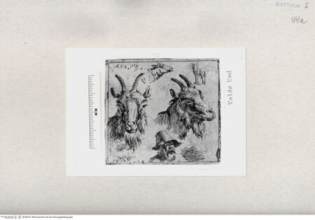 Vorderseite von  [http://creativecommons.org/publicdomain/mark/1.0/] ... - , bh286701. Foto.