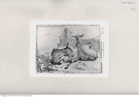 Vorderseite von  [http://creativecommons.org/publicdomain/mark/1.0/] ... - , bh286713. Foto.