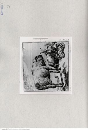 Vorderseite von  [http://creativecommons.org/publicdomain/mark/1.0/] ... - , bh286714. Foto.