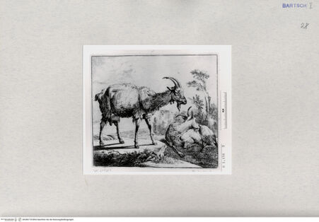 Vorderseite von  [http://creativecommons.org/publicdomain/mark/1.0/] ... - , bh286718. Foto.