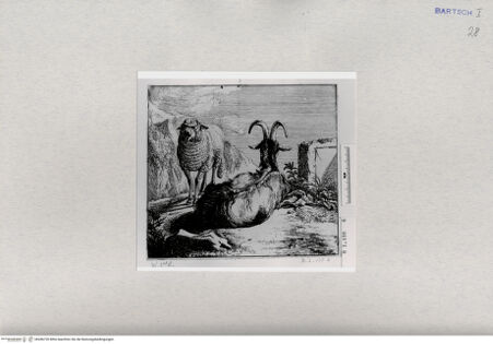 Vorderseite von  [http://creativecommons.org/publicdomain/mark/1.0/] ... - , bh286720. Foto.