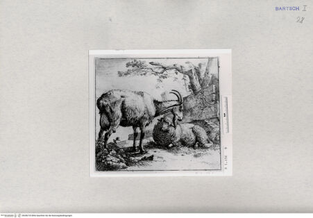 Vorderseite von  [http://creativecommons.org/publicdomain/mark/1.0/] ... - , bh286725. Foto.