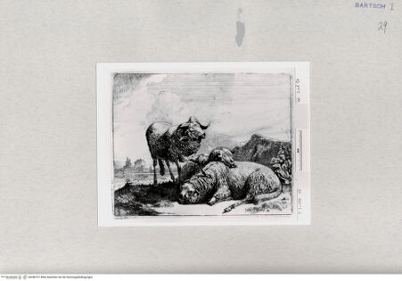 Vorderseite von  [http://creativecommons.org/publicdomain/mark/1.0/] ... - , bh286727. Foto.