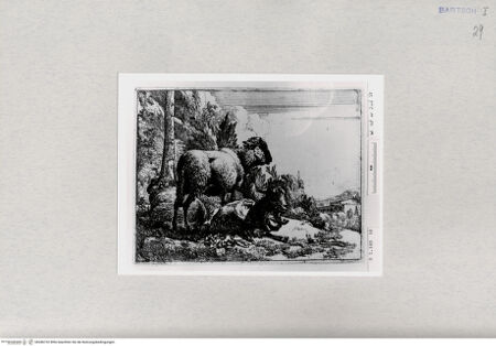 Vorderseite von  [http://creativecommons.org/publicdomain/mark/1.0/] ... - , bh286732. Foto.