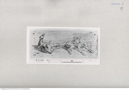 Vorderseite von  [http://creativecommons.org/publicdomain/mark/1.0/] ... - , bh286738. Foto.