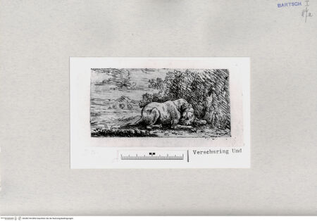 Vorderseite von  [http://creativecommons.org/publicdomain/mark/1.0/] ... - , bh286744. Foto.